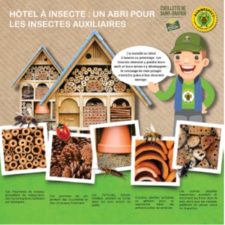 abri insectes auxiliaires