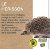le hérisson
