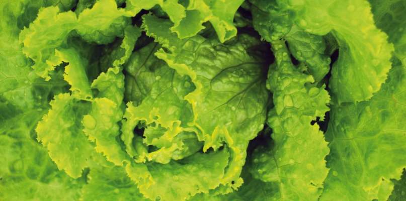 Salades