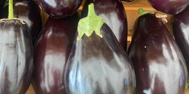 AUBERGINES